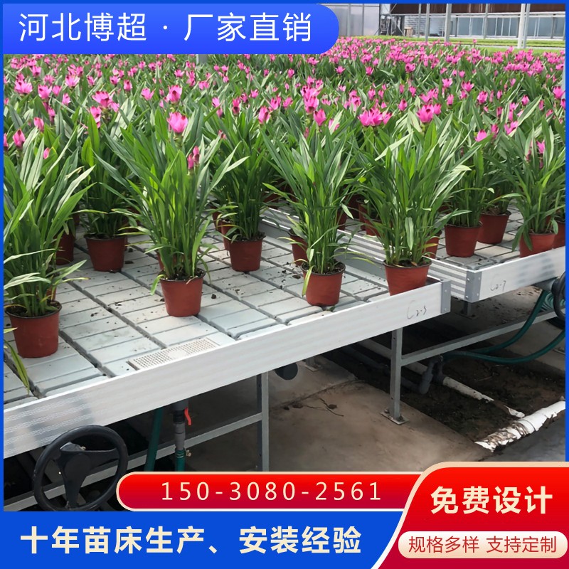 上海潮汐灌溉苗床